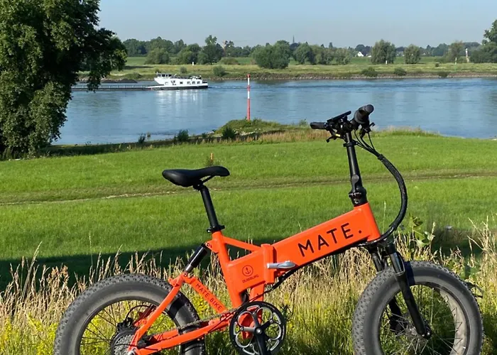 Conti - Partner Of Sorat